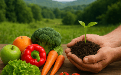 Alimentação, meio ambiente e consciência social: um ciclo que começa no prato