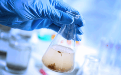 A importância do Laudo de Potabilidade de água