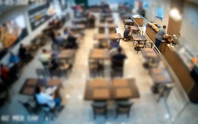 Rato em buffet: o que esse caso revela sobre falhas no controle de pragas em restaurantes corporativos